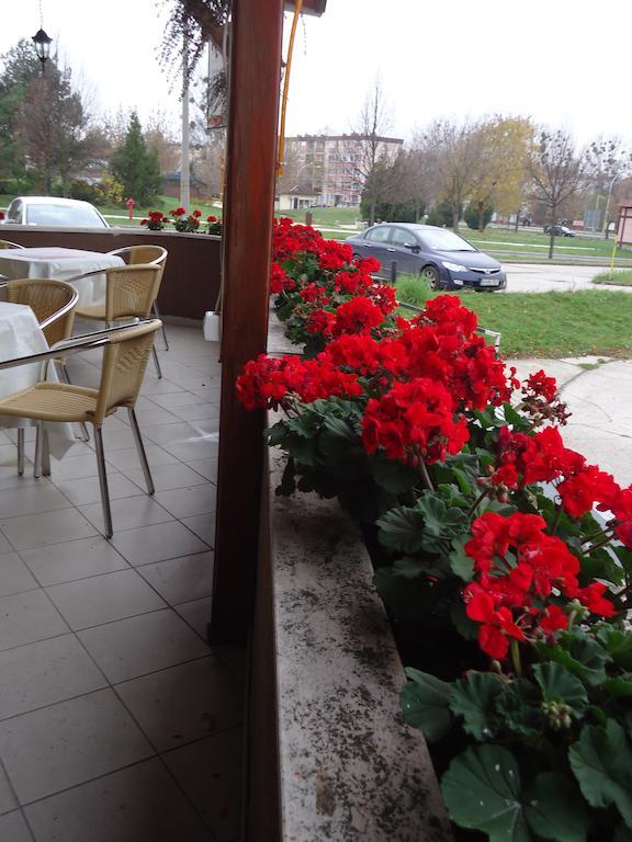 Czermann Panzio Es Etterem Hotell Oroszlány Exteriör bild